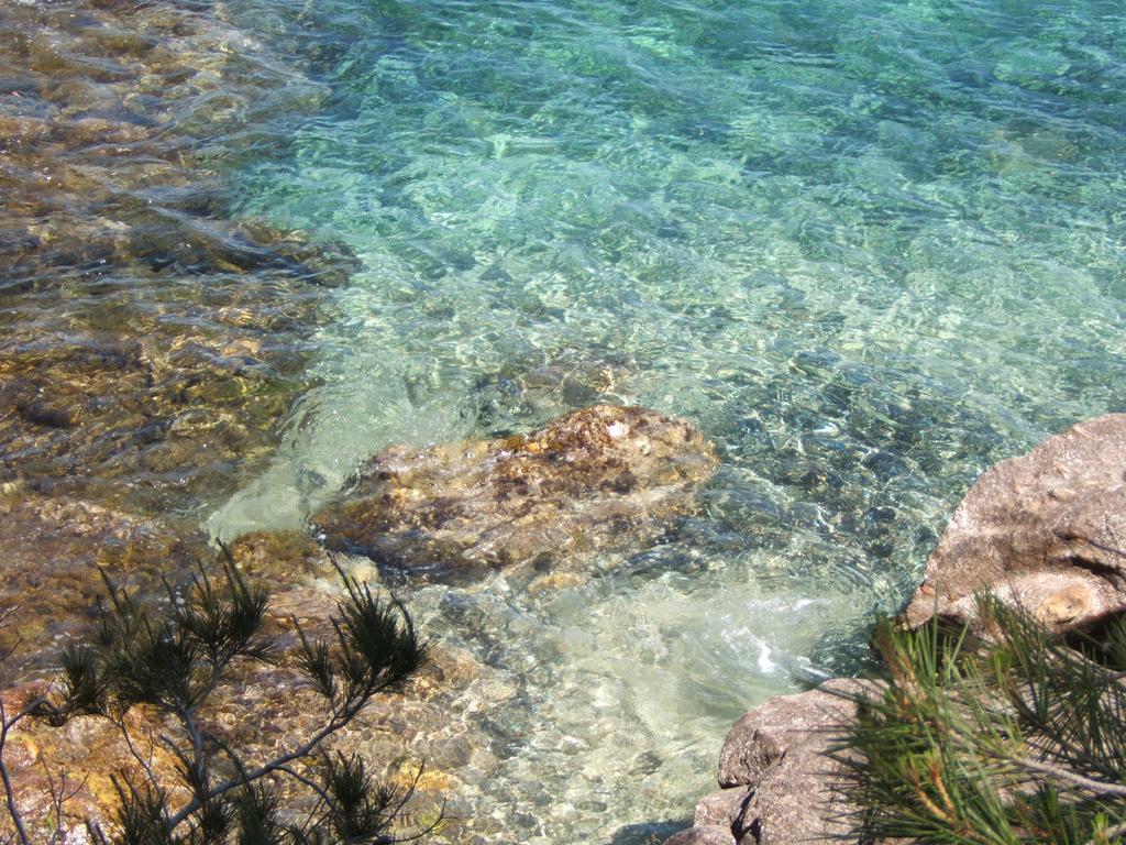 Les Lauriers Roses Aparthotel Le Le Rayol-Canadel-sur-Mer Exterior foto